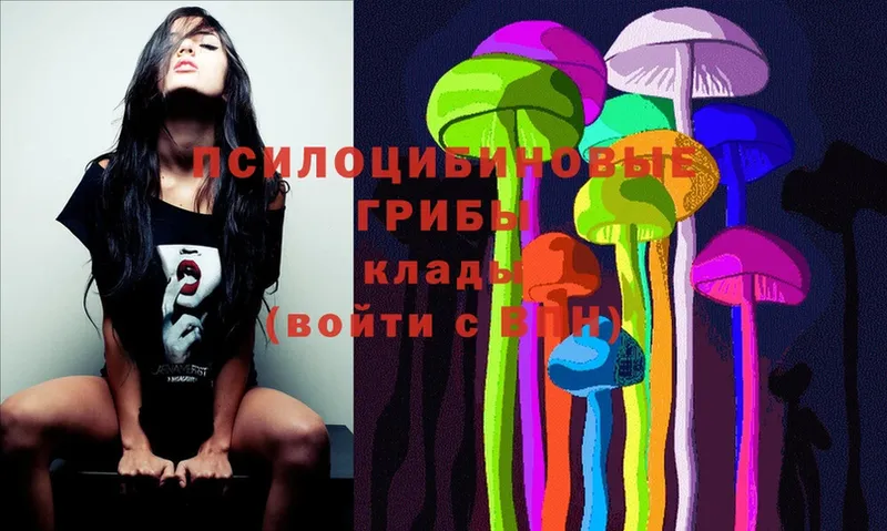 Галлюциногенные грибы Psilocybe  mega ССЫЛКА  Тосно  закладка 